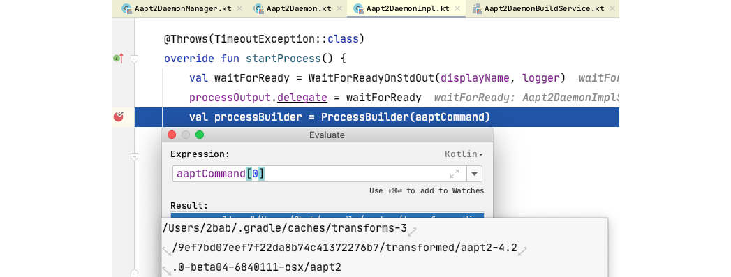 Figure 2.7.7: Injection point of AAPT2 replacement